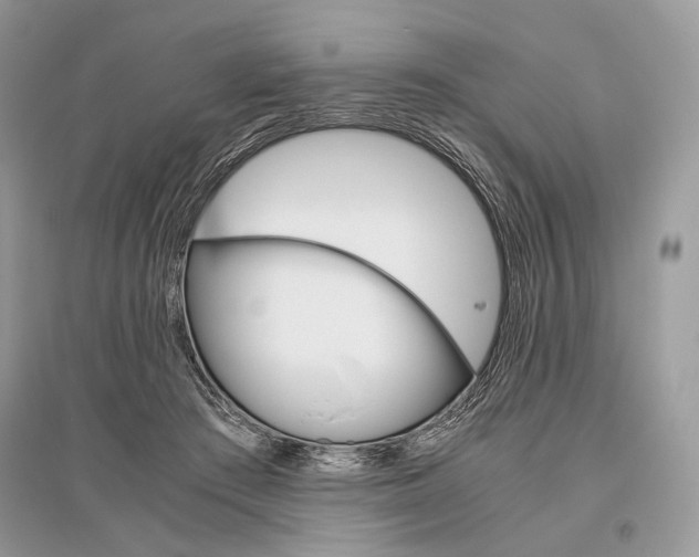 X0000096480409200801241151