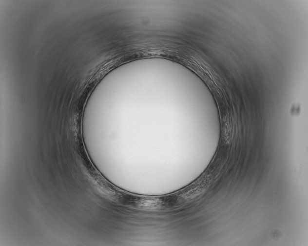 X0000096480410200801241151
