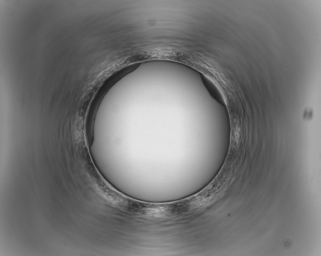 X0000096480411200801241151