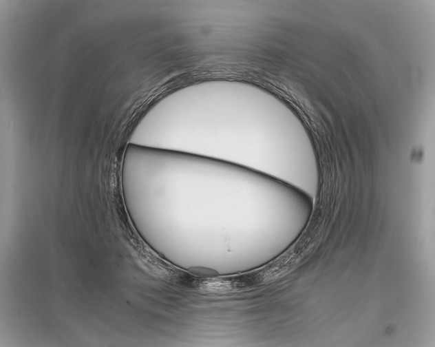 X0000096480413200801241151
