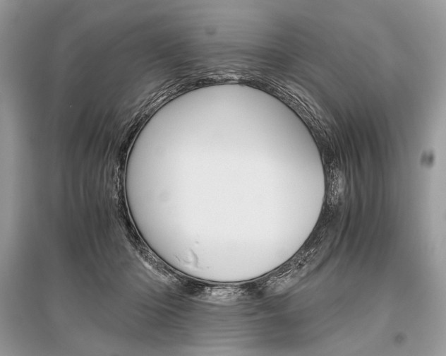 X0000096480414200801241151