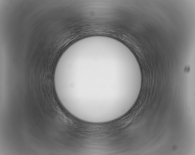 X0000096480415200801241151