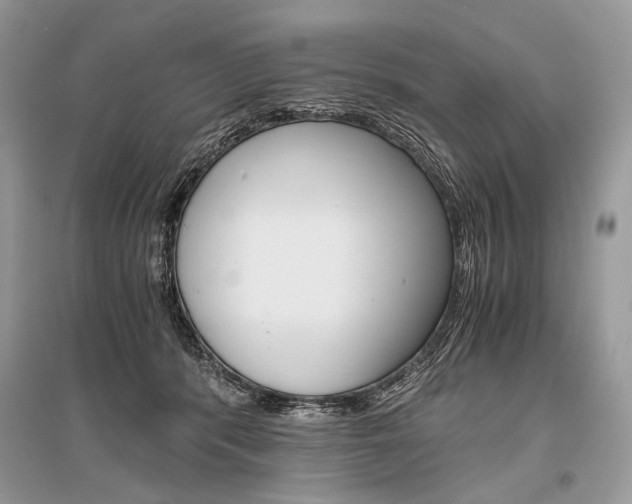 X0000096480416200801241151