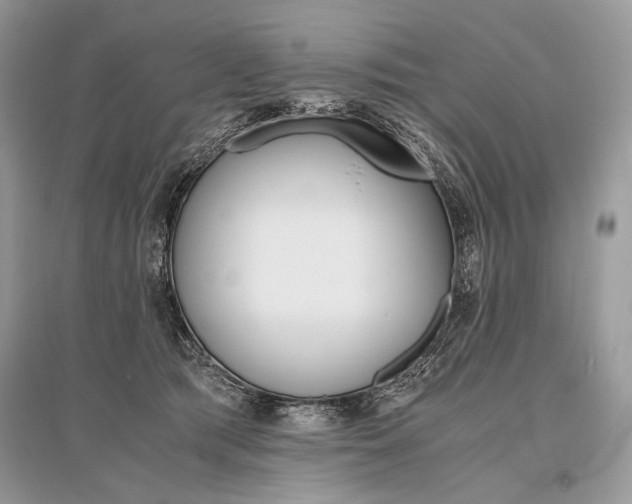 X0000096480417200801241151