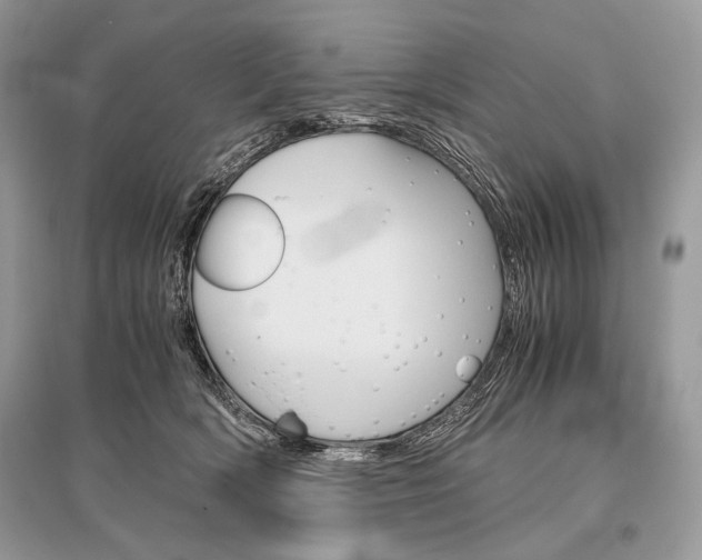 X0000096480418200801241151