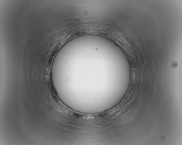 X0000096480419200801241151