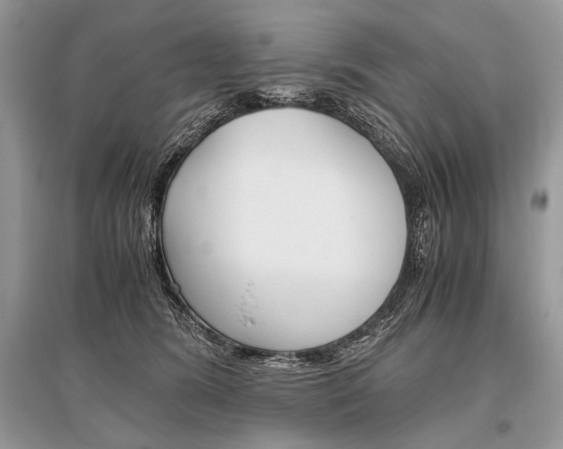 X0000096480420200801241151