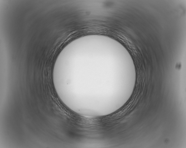 X0000096480421200801241151