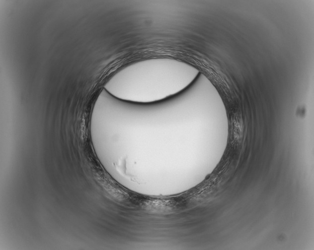 X0000096480422200801241151