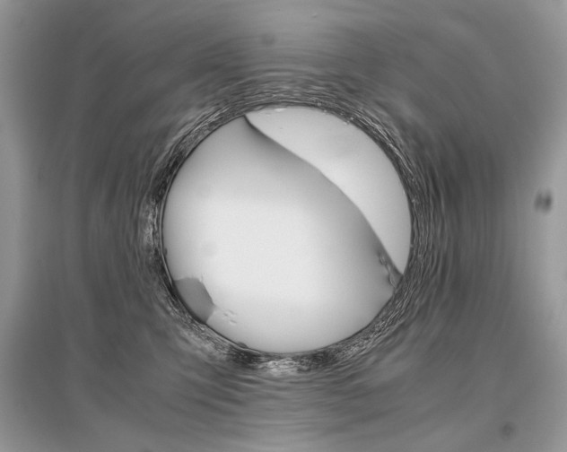 X0000096480423200801241151