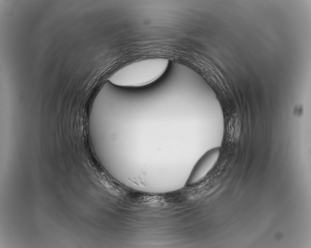 X0000096480424200801241151