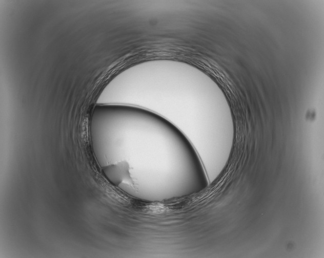 X0000096480425200801241151