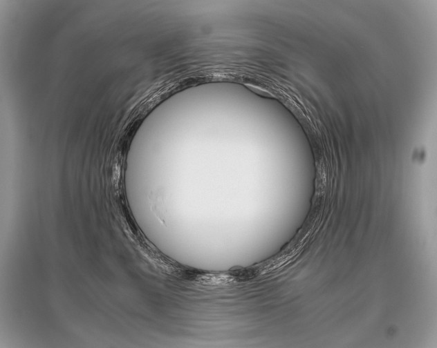 X0000096480427200801241151
