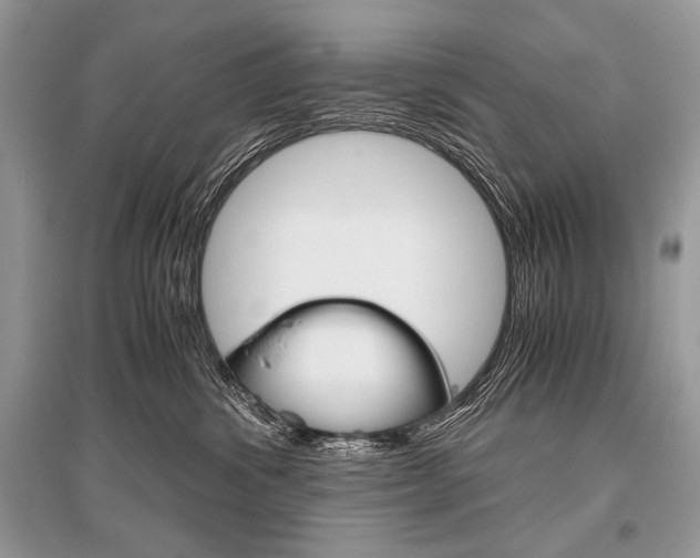 X0000096480428200801241151