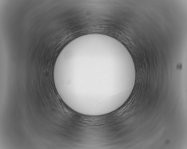 X0000096480431200801241151