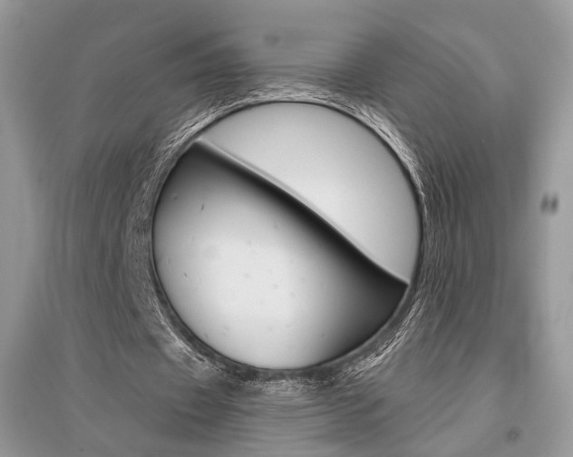 X0000096480433200801241150