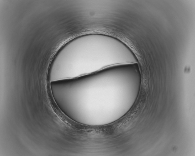 X0000096480434200801241150