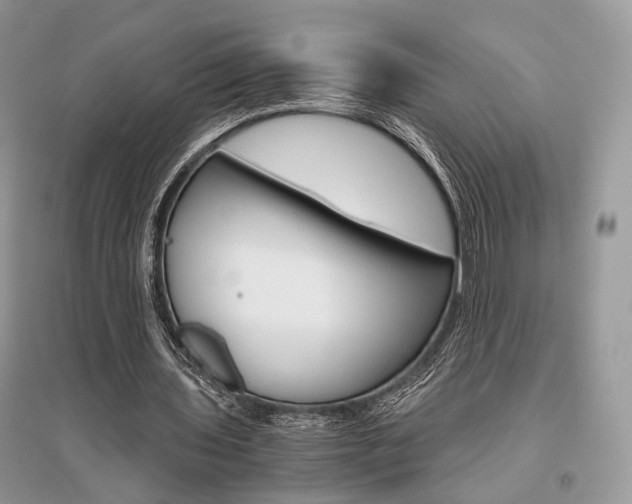 X0000096480435200801241150