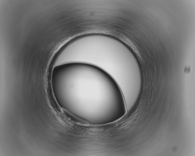 X0000096480436200801241150