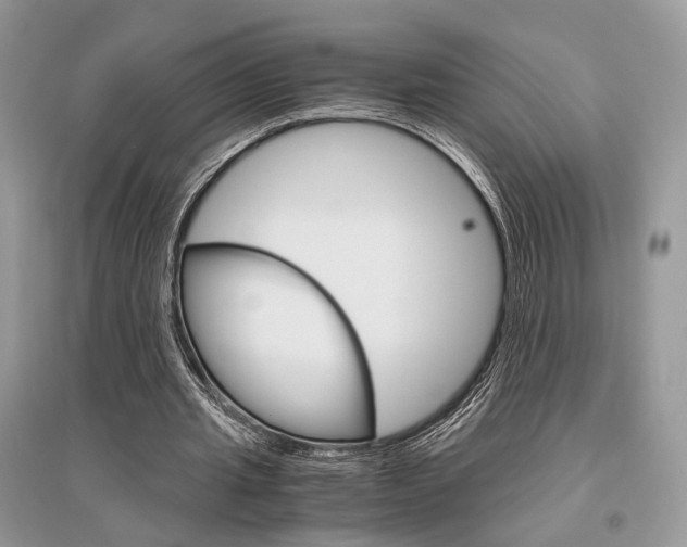 X0000096480437200801241150