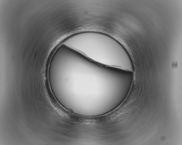 X0000096480438200801241150