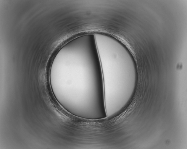 X0000096480439200801241150