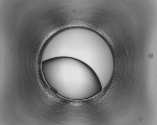 X0000096480440200801241150
