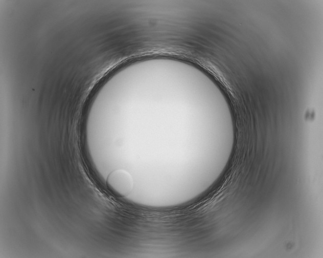 X0000096480444200801241150