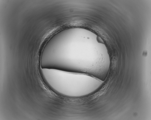 X0000096480446200801241150