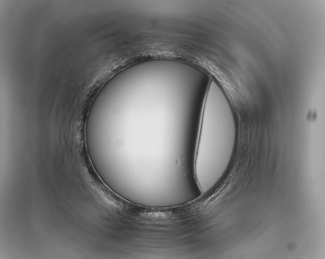 X0000096480449200801241150