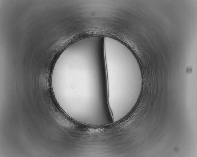 X0000096480450200801241150