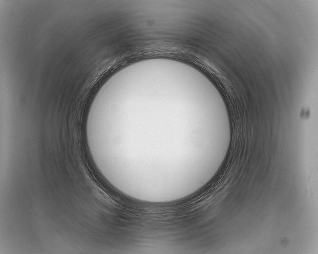 X0000096480452200801241150