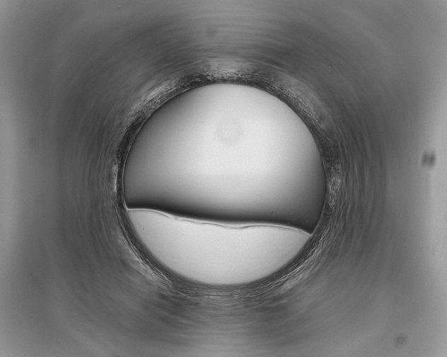 X0000096480454200801241151