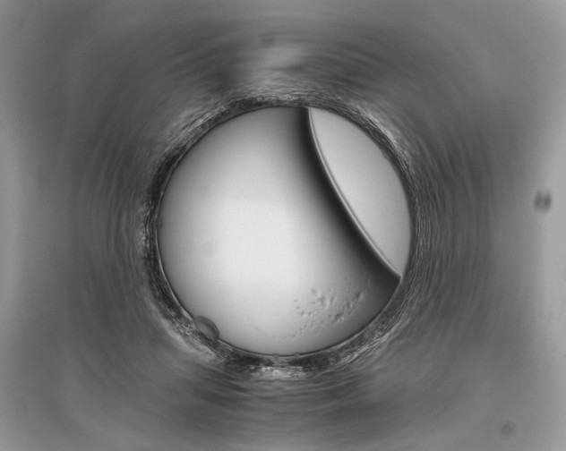X0000096480455200801241151