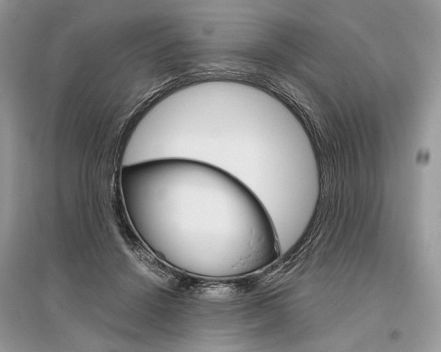 X0000096480456200801241151
