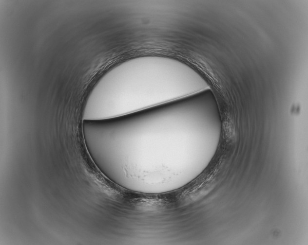 X0000096480458200801241151