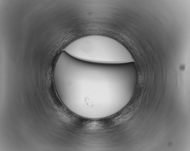 X0000096480460200801241151