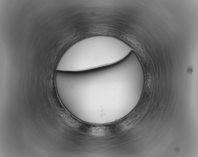 X0000096480461200801241151