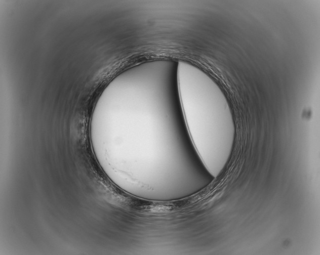 X0000096480462200801241151
