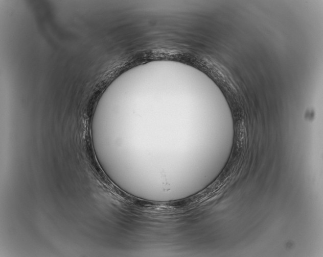 X0000096480463200801241151