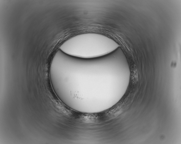 X0000096480466200801241151