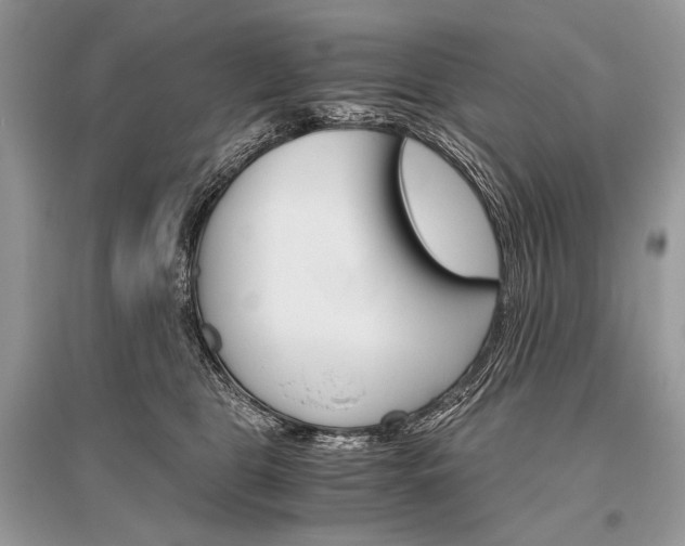 X0000096480469200801241151