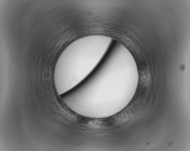 X0000096480470200801241151