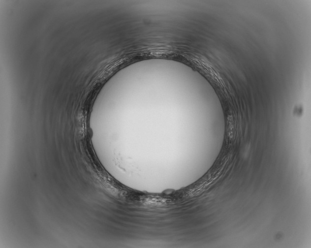 X0000096480471200801241151