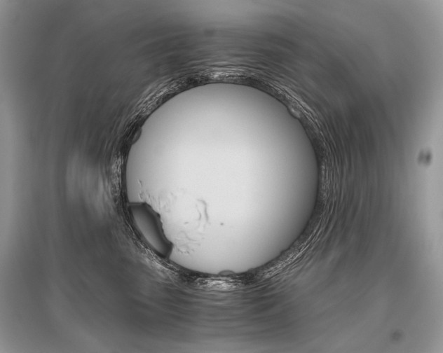 X0000096480475200801241151