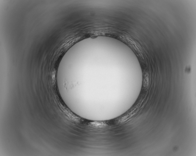 X0000096480477200801241151