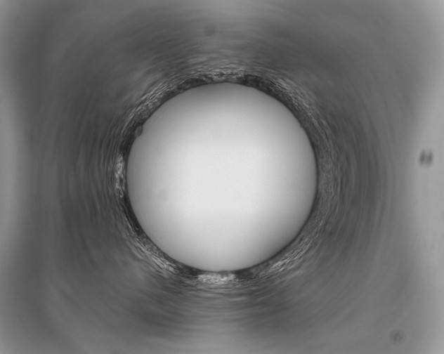 X0000096480480200801241151