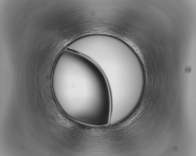 X0000096480481200801241150