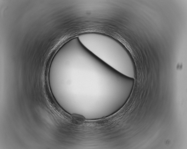 X0000096480482200801241150
