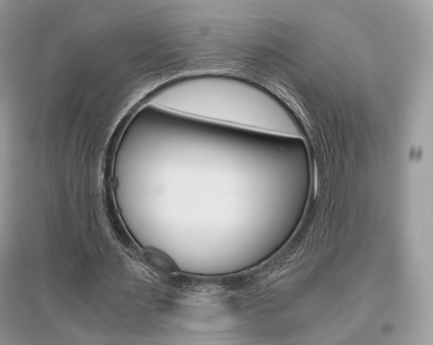 X0000096480483200801241150